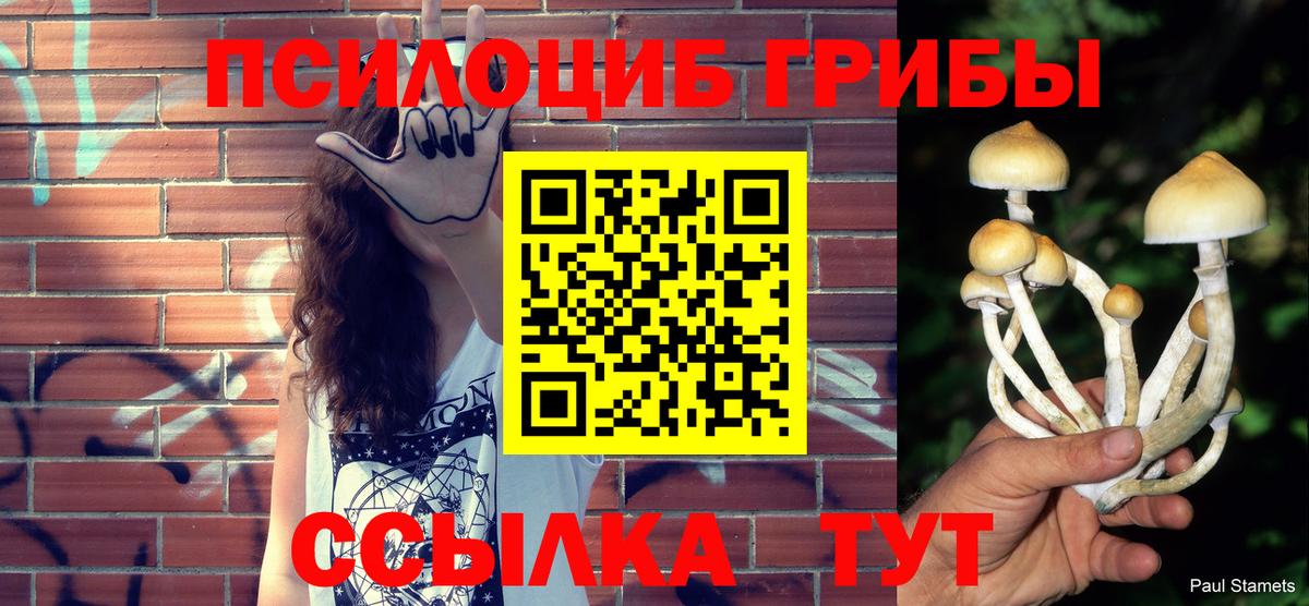 Артёмовский  Псилоцибиновые грибы MAGIC MUSHROOMS  Вход с VPN 